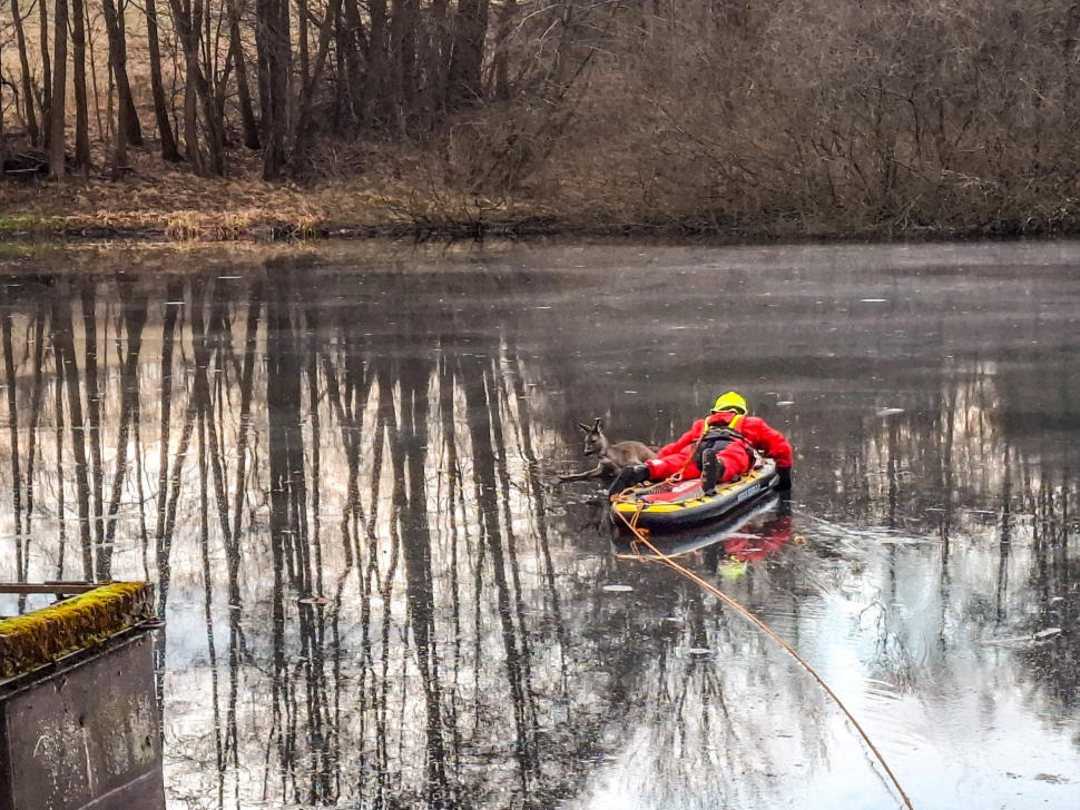 Odvážní hasiči se vydali na tenký led